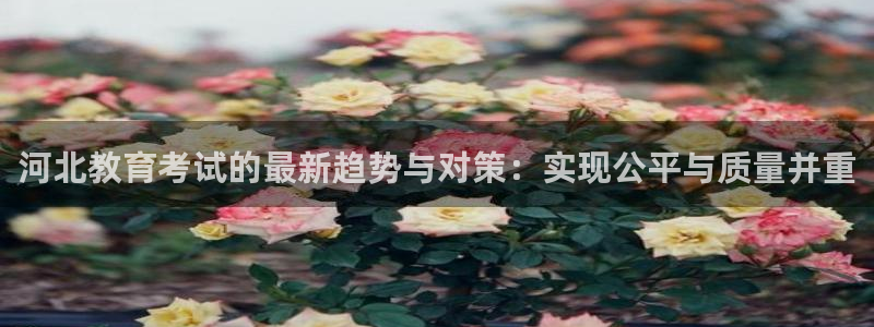 新宝5官方下载地址