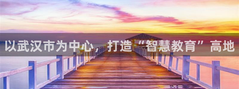 新宝5招商部