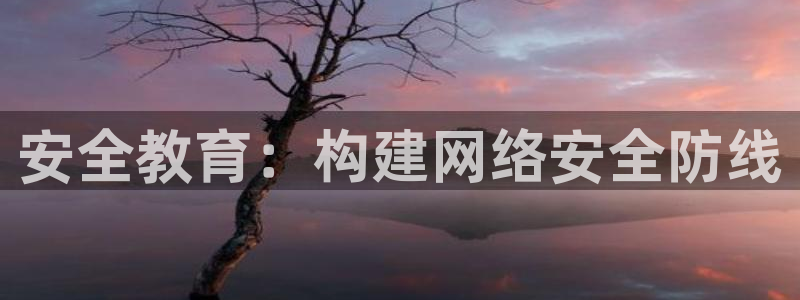 新宝5app手机下载