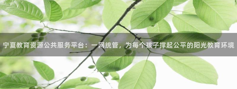 新宝5挂机