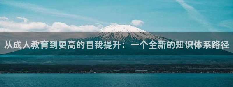 5新宝