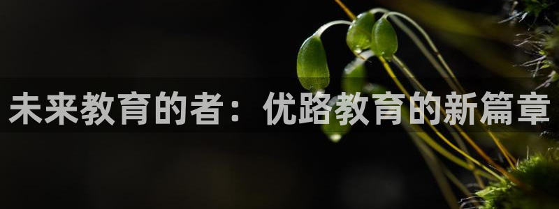 新宝新5