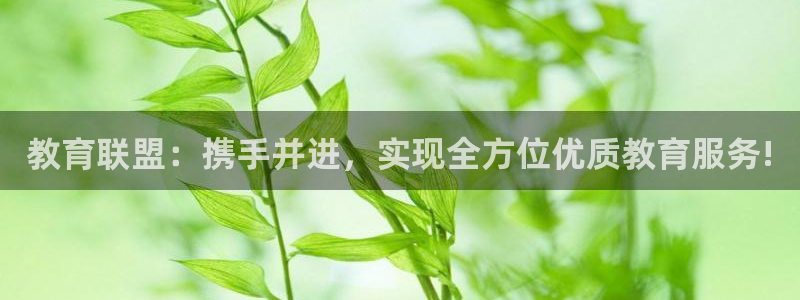 新宝5系列