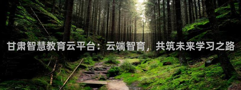 新宝5什么时候上市