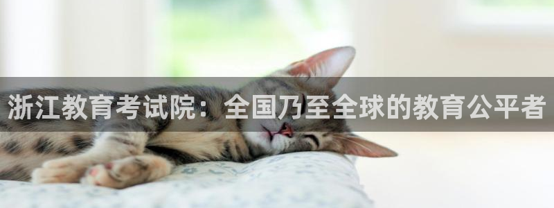 新宝5娱乐家