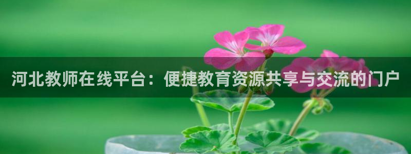 新宝5台卡