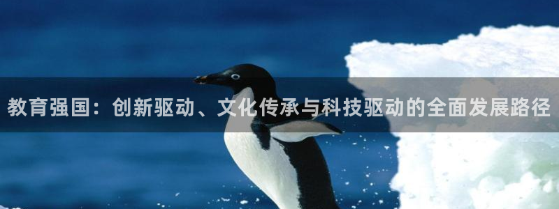 新宝5娱乐家
