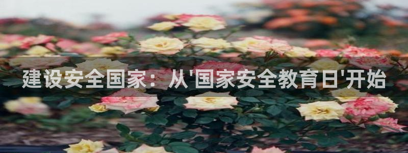 新宝5户端