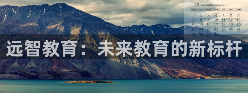 新宝股东张听2 5 5