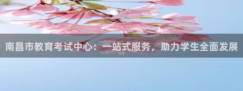 新宝5官方下载地址