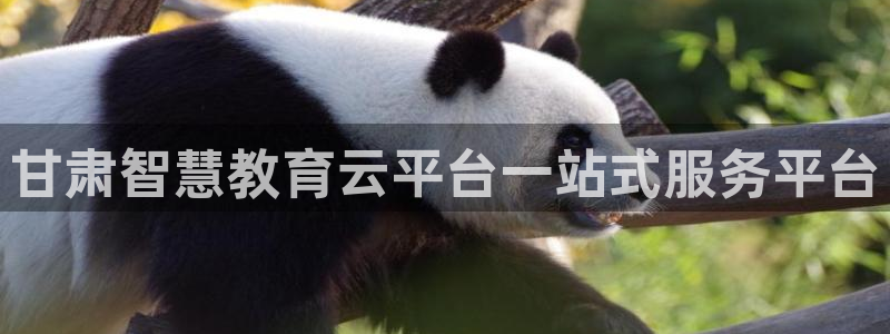 新宝5什么时候上市