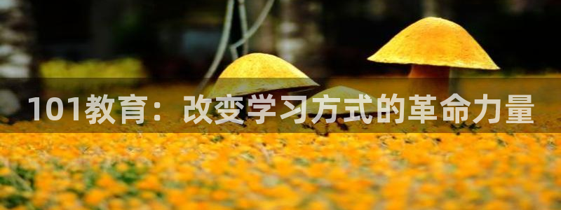 新宝5官网霸
