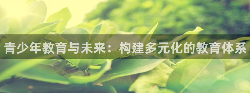 新宝5娱乐代理