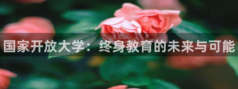 新宝5娱乐学