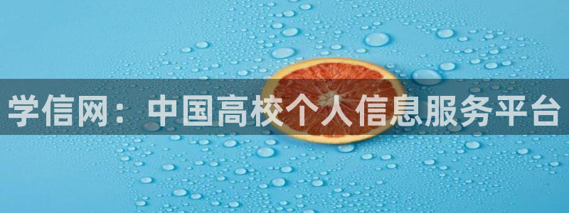 新宝5娱乐然