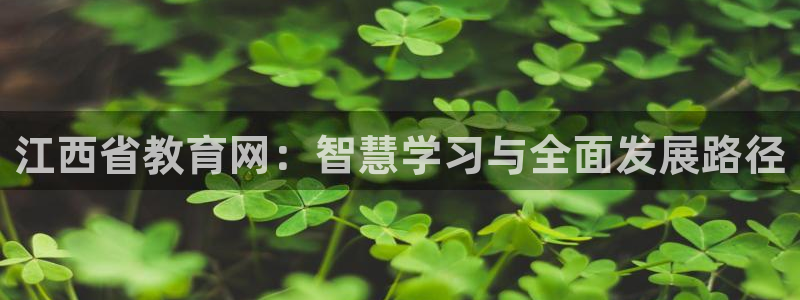 新宝5系列