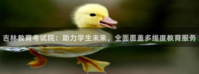 新宝h2O5O5O