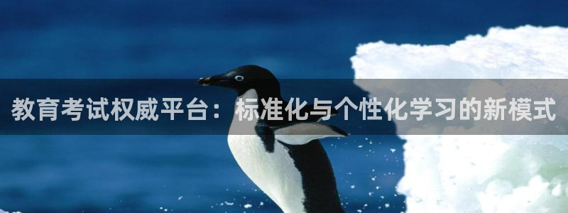 新宝m2O5O5O