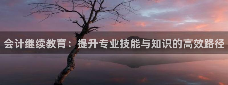 新宝那2O5O5O