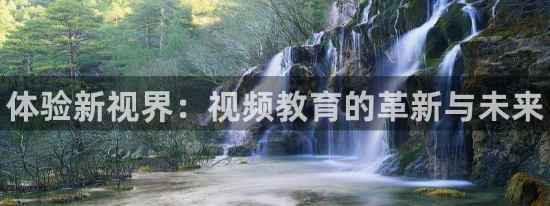 新宝5褚32OO59