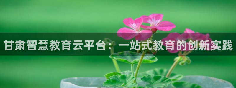 新宝5娱乐注