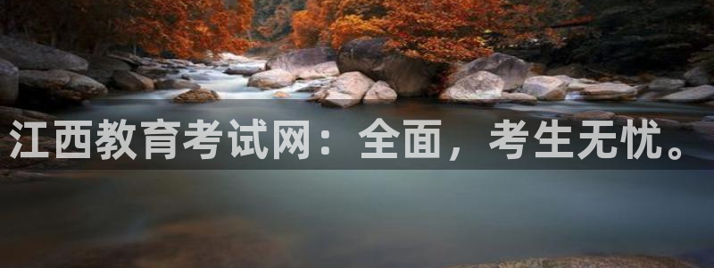 新宝5是什么