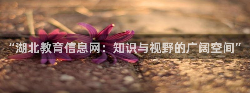 新宝5下载 迅雷下载