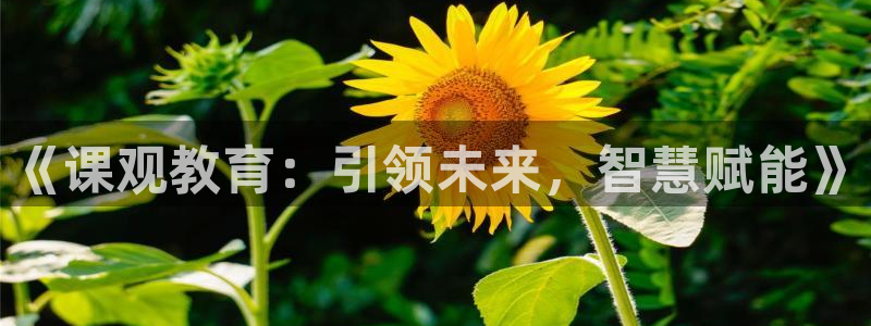 新宝5官网67五壹叁八