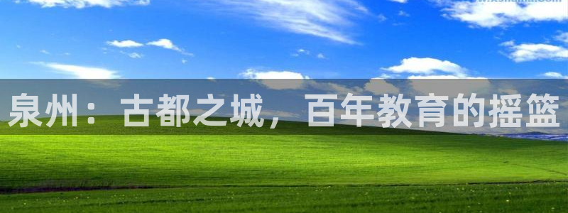 新宝5怎么下载到桌面