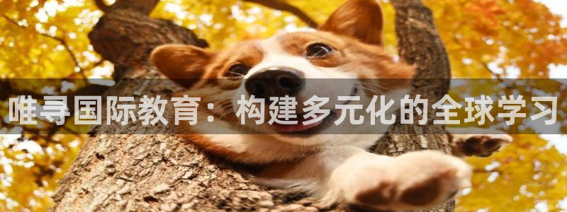 新宝5娱乐网址