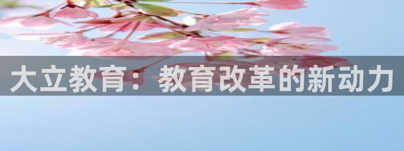 新宝5新宝6顺达