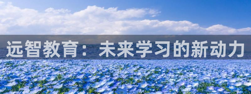 新宝5平台