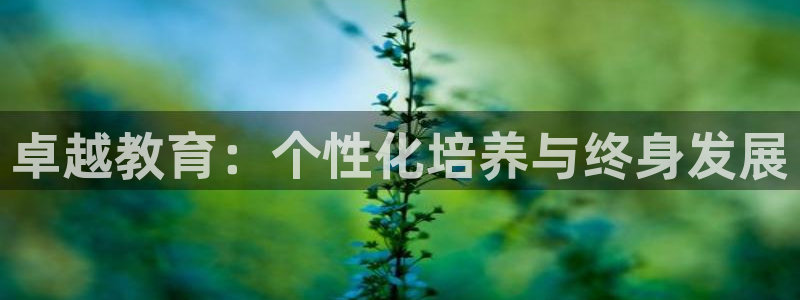 新宝5官网app