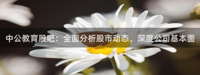 新宝5娱乐同