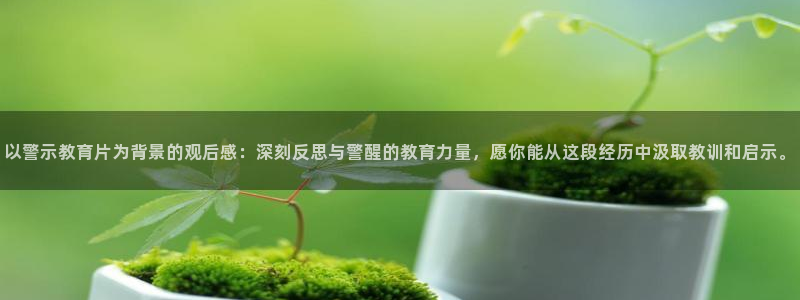 新宝5 - 测速登陆