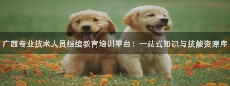 新宝5策略