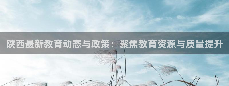 新宝堂新会陈皮5年