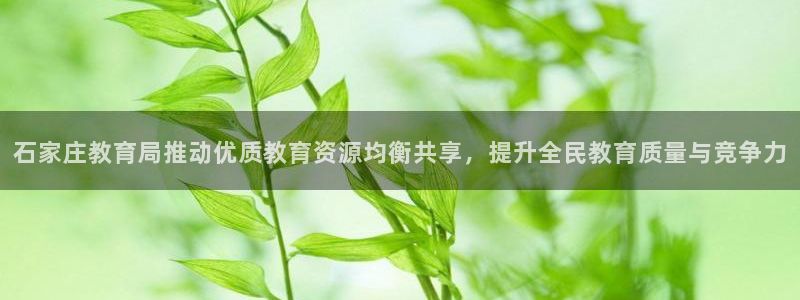 新宝5官网霸