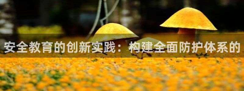 新宝堂新会陈皮5年