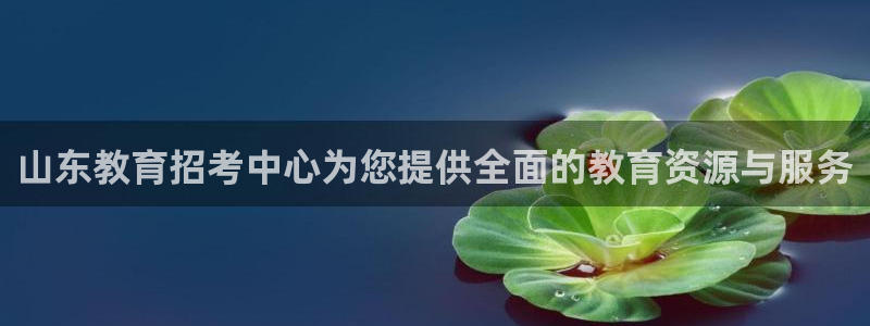 新宝5系列