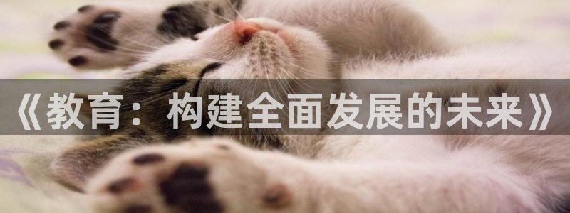 新宝股东瞧听2 5 5