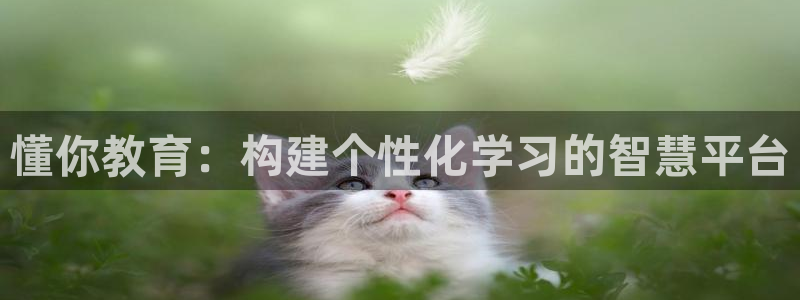 新宝娱乐5入口