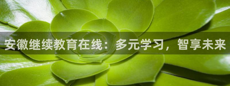 有人知道新宝5么