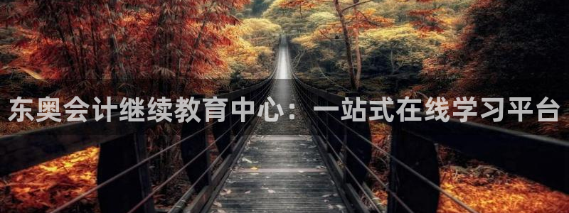 新宝5是什么样子的