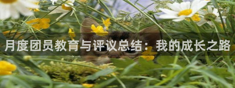 新宝5地址
