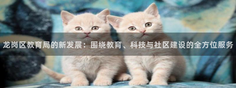 新宝5是什么样子的