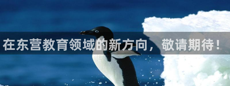 新宝5苹果手机下载