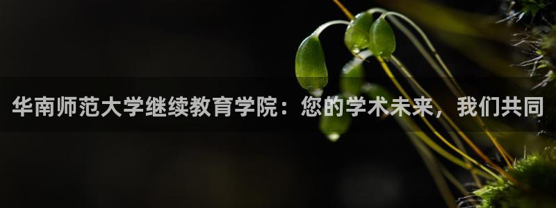 新宝j2O5O5O