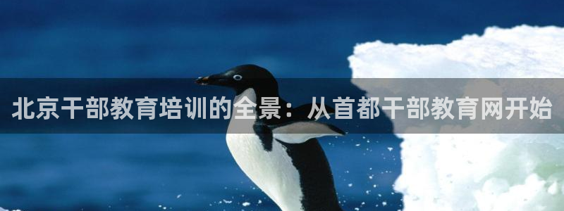 新宝5测速在线