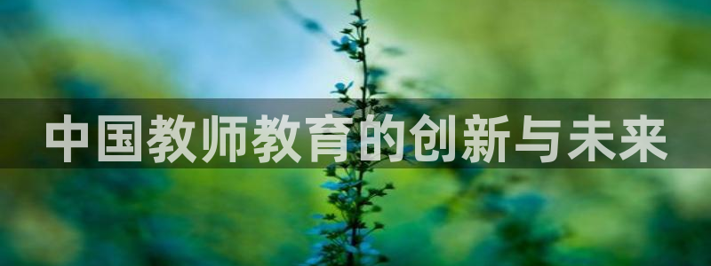 新宝5源码